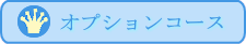 オプションコース